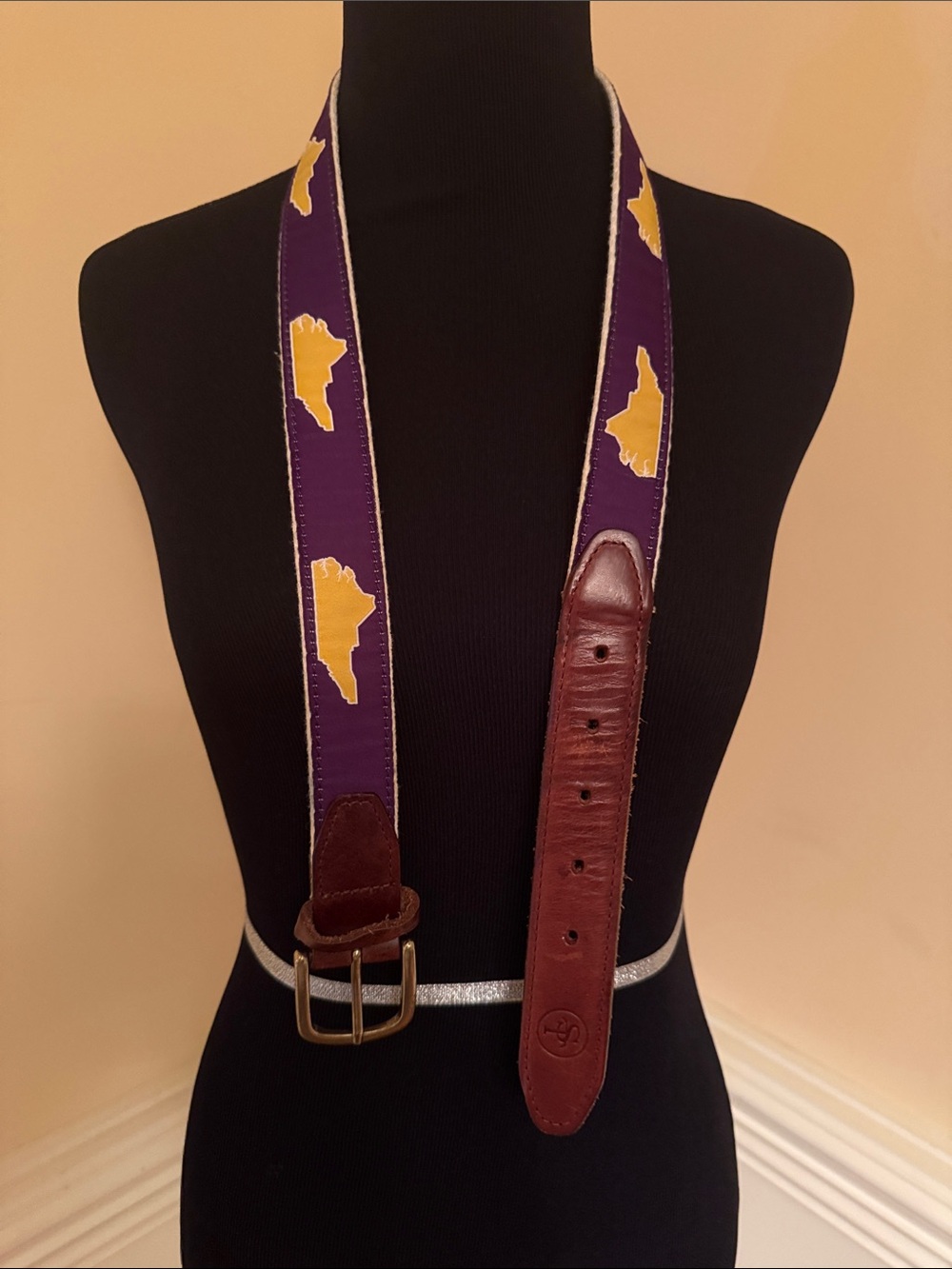 Men's Purple & Brown Embroidered Web Belt